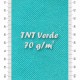 Sacchetti Tessuto Non Tessuto TNT verde